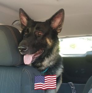 Meet your Posher, Kathy